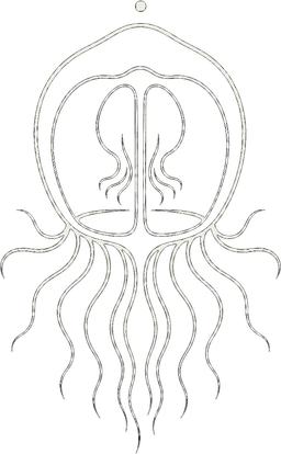 WildSyntax Mark